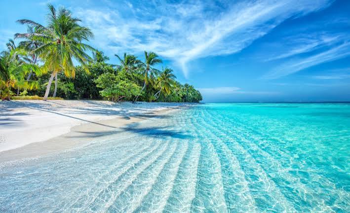 Banco de areia branca e mar transparente, no Caribe